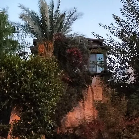 Imera Fera فيلة